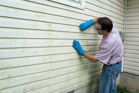 Best Siding for Commercial Buildings  in Oakland Park, FL